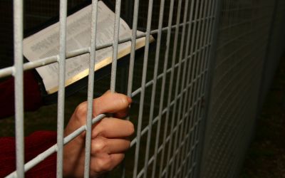 Four Keys to Enduring Persecution 
